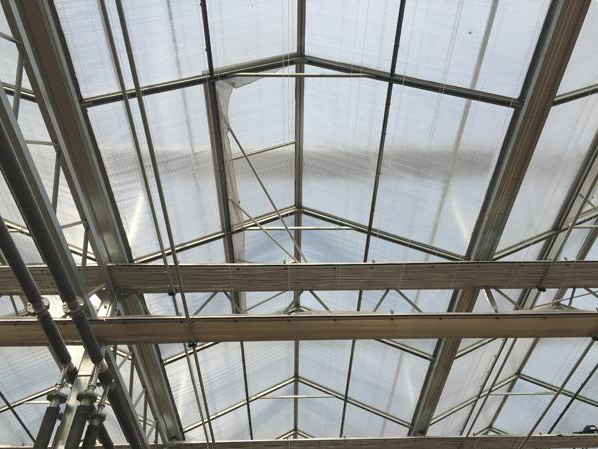 1569576836120428.png 微信截图_20190927172417.png